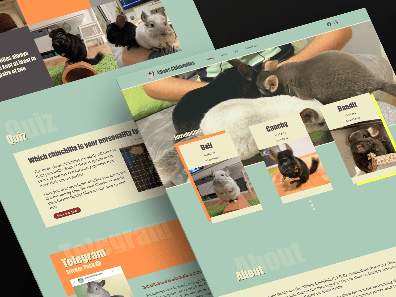 Bildschirmaufnahme der Website Chaos Chinchillas